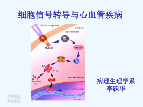 病理学及病理生理学6No6