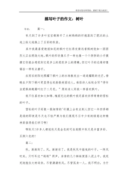 描写叶子的作文：树叶
