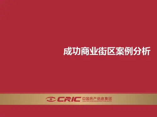 成功商业街区案例分析