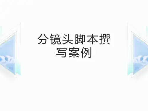 分镜头脚本撰写案例