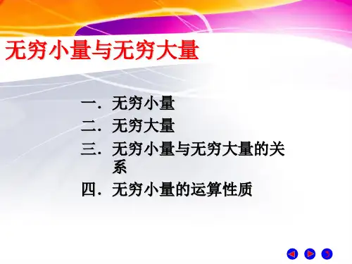 高数无穷大无穷小