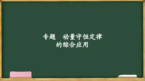 第十六章 专题