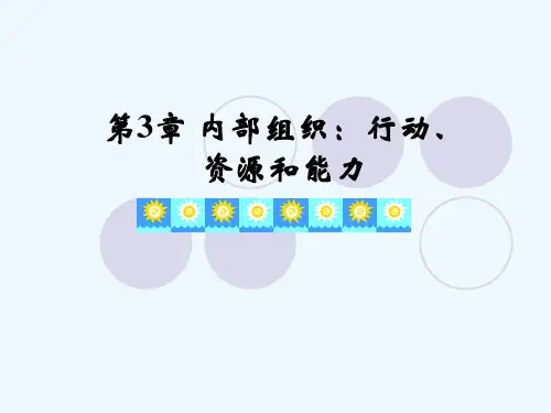 企业战略管理第章内部环境分析