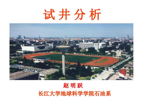 第二章  试井分析的理论基础及方法论