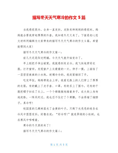 描写冬天天气寒冷的作文5篇