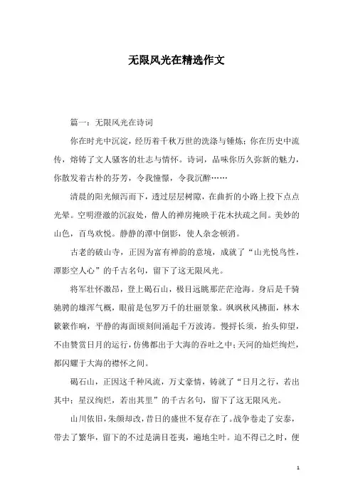 无限风光在精选作文