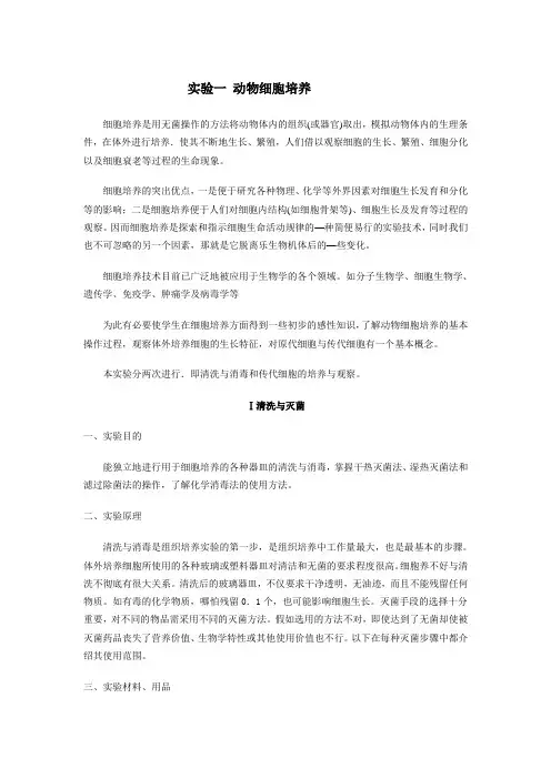 动物细胞培养基本操作