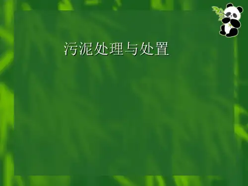 污泥处理与处置