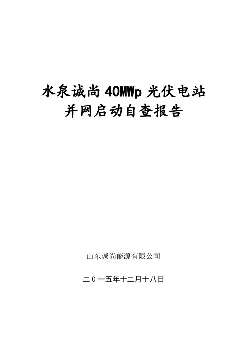 光伏电站自查报告