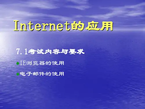 Internet的应用.ppt