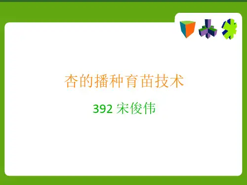 杏的播种育苗技术