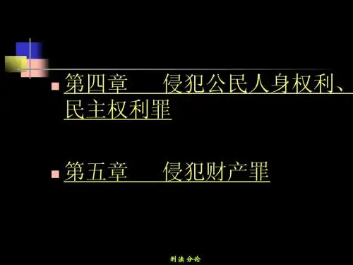 海南大学刑法分论4-5