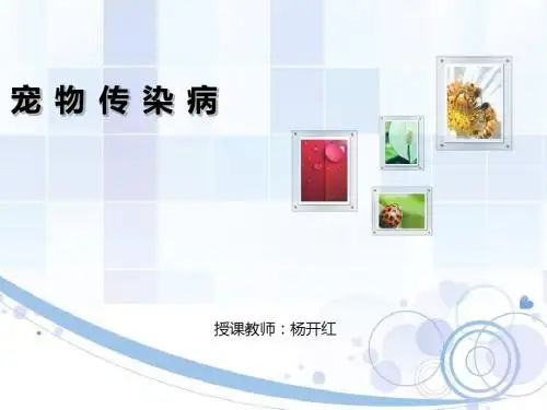 第一、二章 宠物传染病的发生及防疫  幻灯片综述