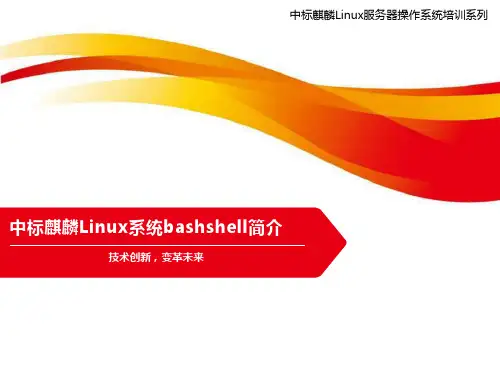 中标麒麟Linux系统bashshell简介