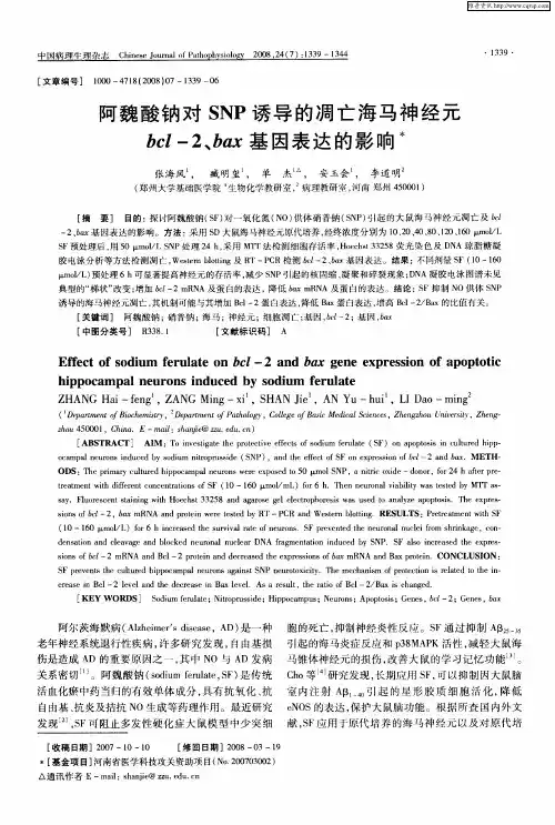 阿魏酸钠对SNP诱导的凋亡海马神经元bcl-2、bax基因表达的影响