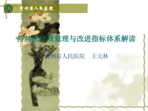 二级医院持续医疗质量管理改进指标体系解读(课件)