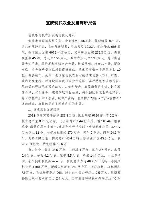 宣威现代农业发展调研报告