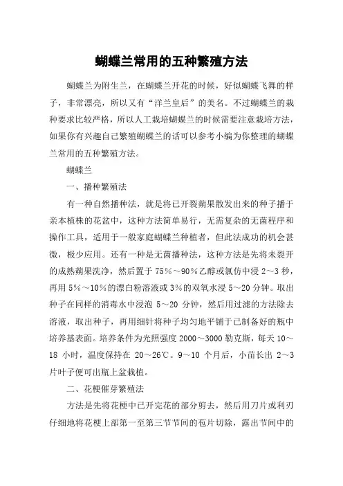 蝴蝶兰常用的五种繁殖方法