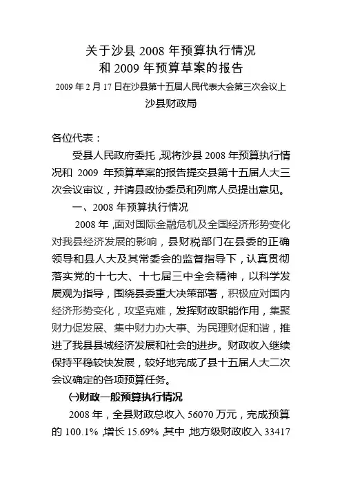 预算执行情况预算草案的报告