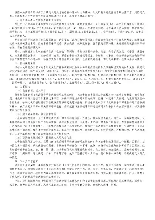 选人用人专项检查工作报告.pdf