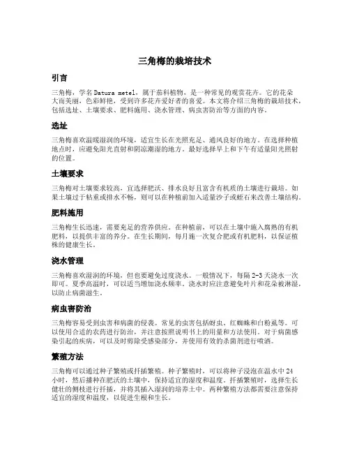 三角梅的栽培技术