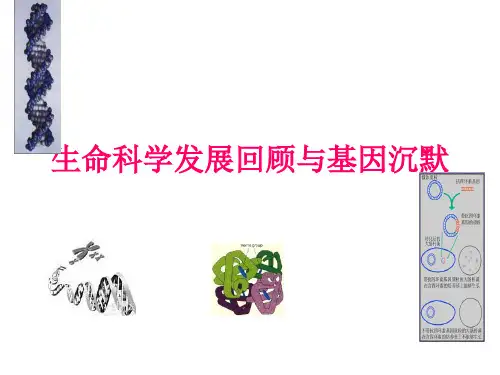 RNA干扰的研究与应用