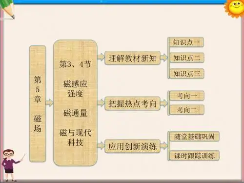 高中物理 磁场 第1部分 第5章 第3、4节  磁感应强度  磁通量  磁与现代科技课件 鲁科版选修3-1