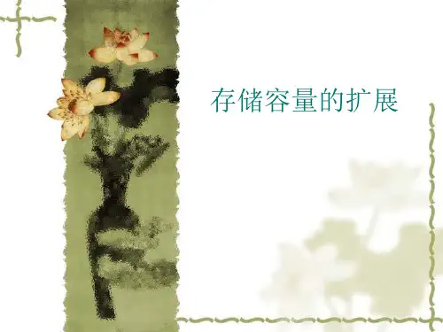 存储容量的扩展