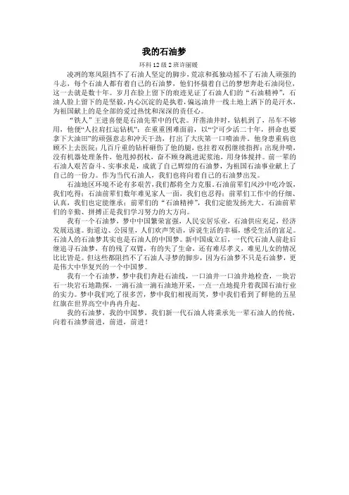 我的石油梦