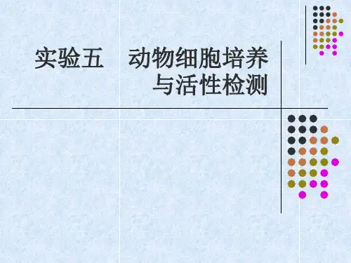 实验五 动物细胞培养与细胞活性检测