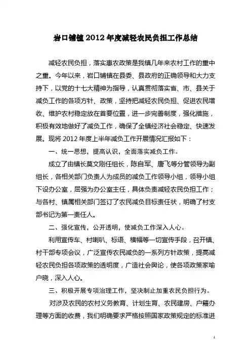 农民减负工作总结