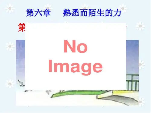 初中物理弹力与弹簧测力计教程文件