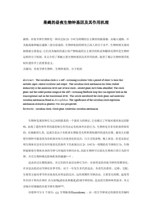 果蝇的昼夜生物钟基因及其作用机理