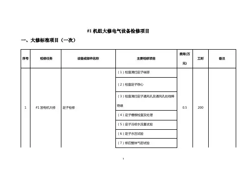 机组大修电气设备检修项目