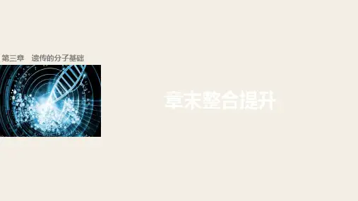 2018学年高中生物浙科版必修二配套课件：第三章 遗传分子的基础 章末整合提升