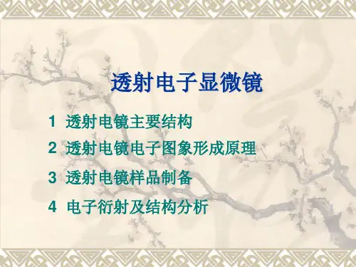 透射电子显微镜----仪器分析