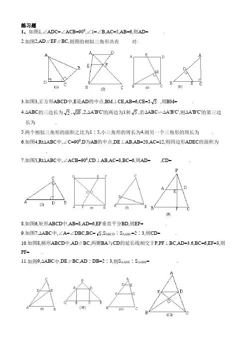 相似的简单练习题