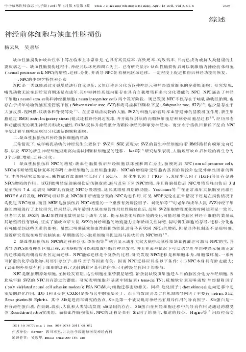 神经前体细胞与缺血性脑损伤