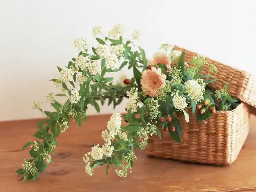 《插花艺术》课件