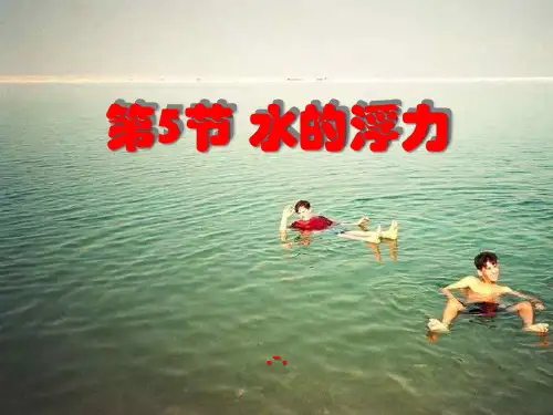 水的浮力3--浙教版PPT课件