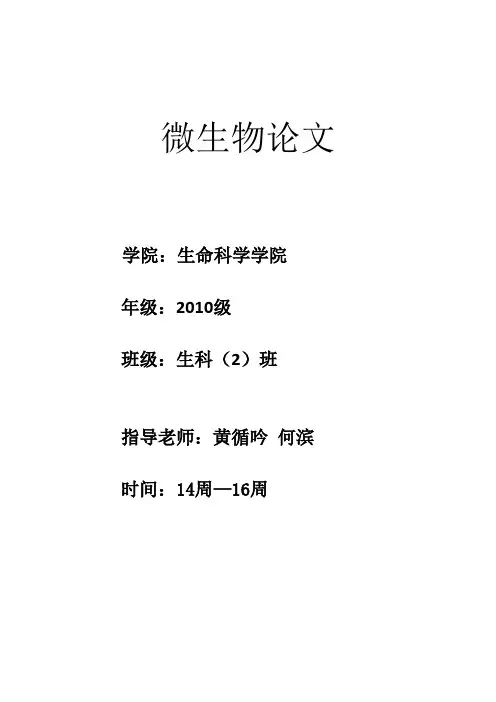 微生物论文青霉菌的分离及其形态观察
