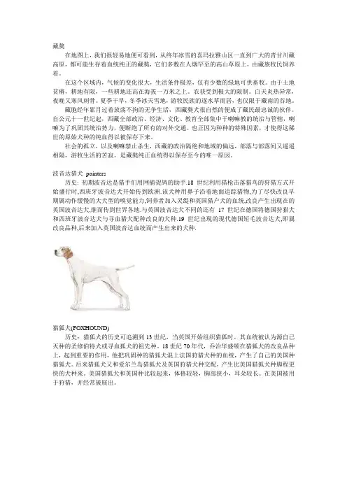 狗品种大全