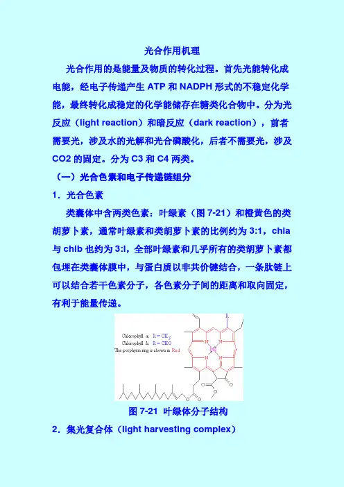 光合作用机理