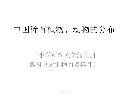 中国稀有植物动物的分布