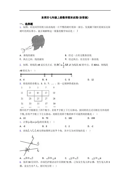 东莞市七年级上册数学期末试卷(含答案)