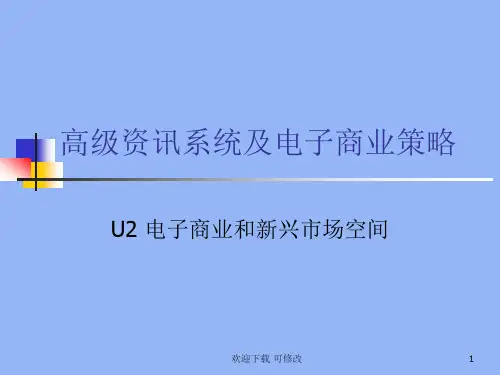 高级资讯系统及电子商业策略
