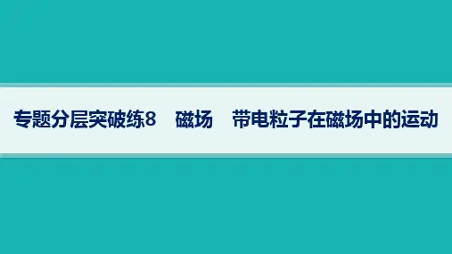2024届高考二轮复习物理课件:磁场 带电粒子在磁场中的运动
