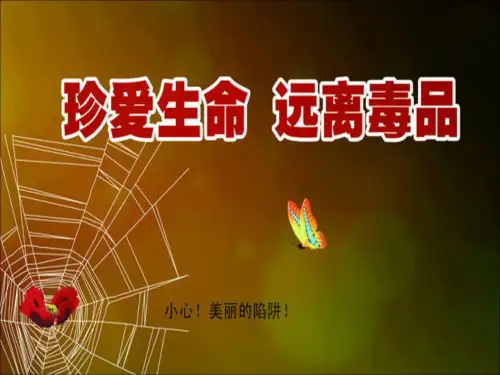 小学生禁毒宣传多媒体课件