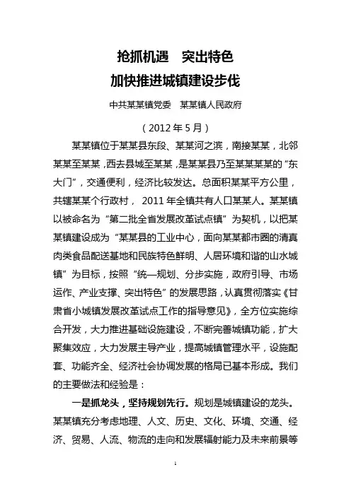 某某乡镇小城镇建设汇报材料