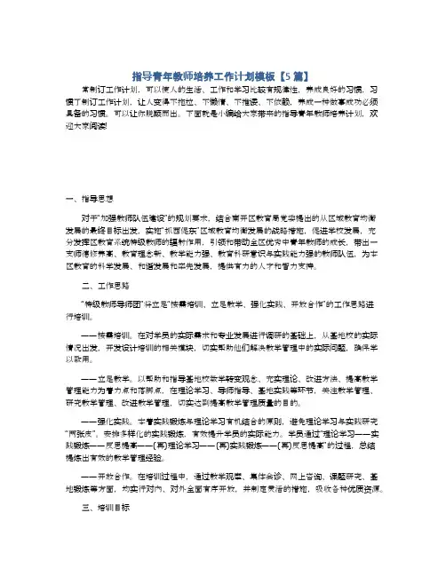 指导青年教师培养工作计划模板【5篇】